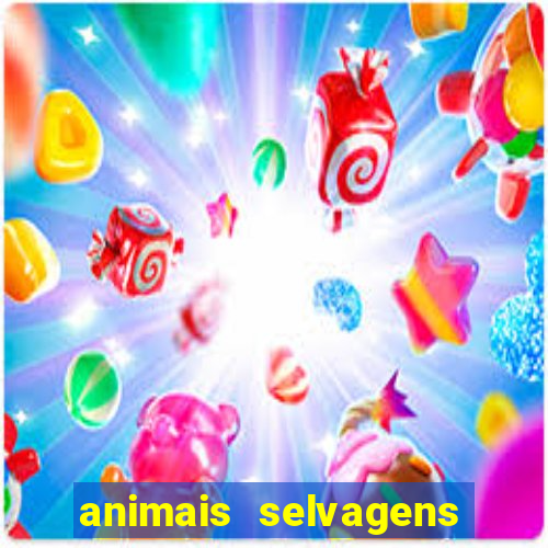 animais selvagens fotos e nomes